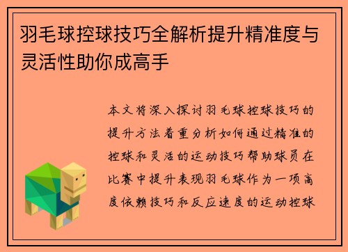羽毛球控球技巧全解析提升精准度与灵活性助你成高手